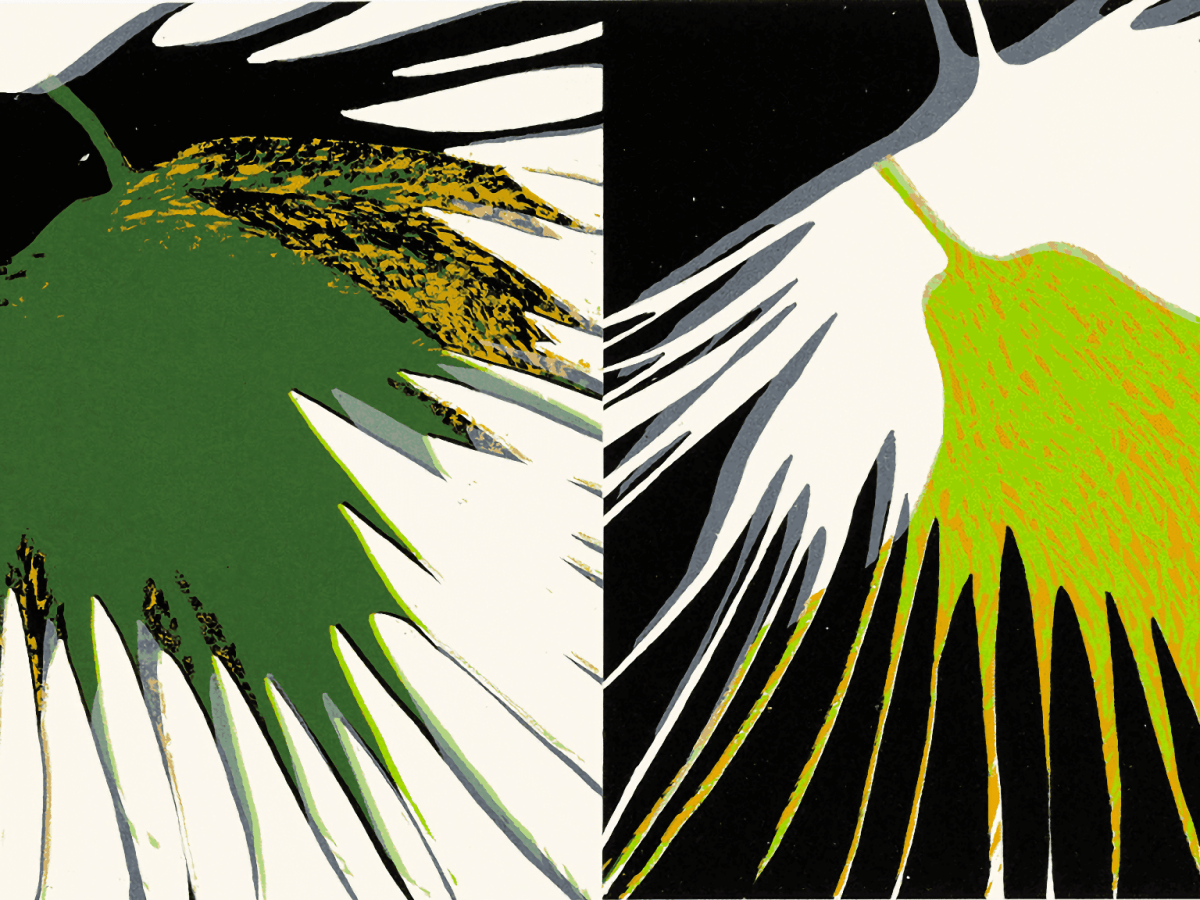 Kunst abseits von&nbsp;Galerien