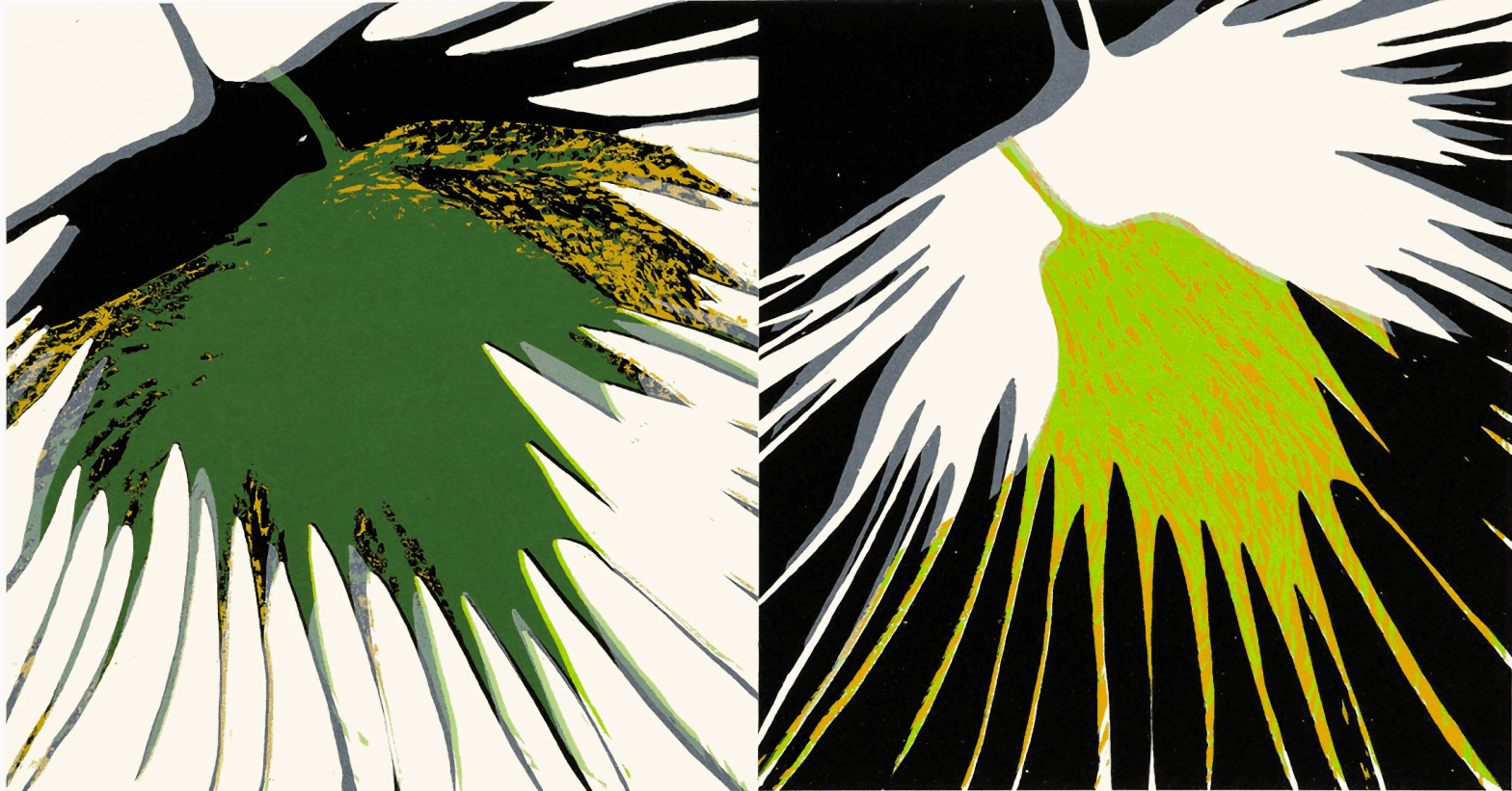 Gerlinde Thoma - aeolus