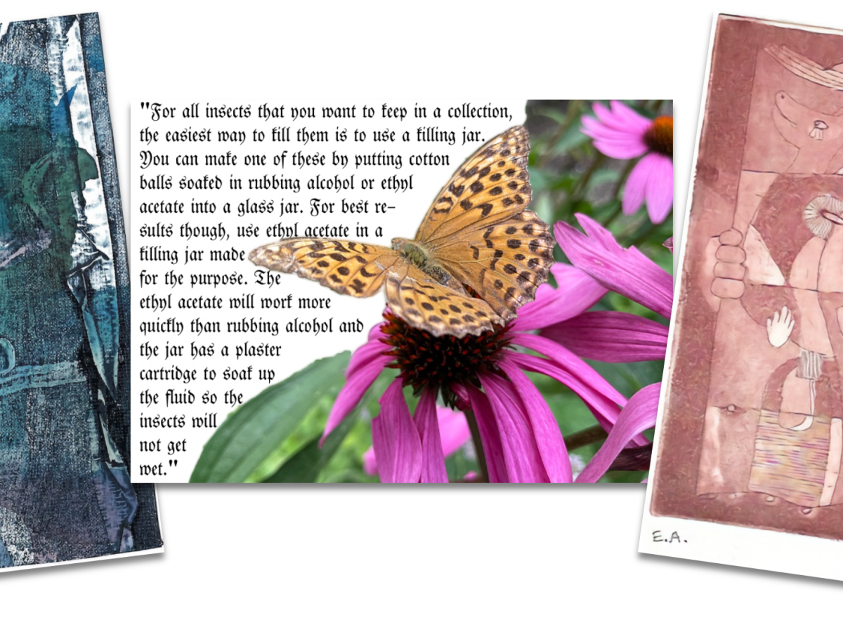 Mail Art in the&nbsp;Museum