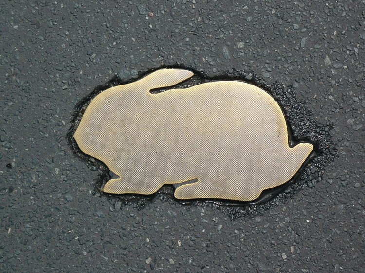 Karla Sachse - Kaninchen