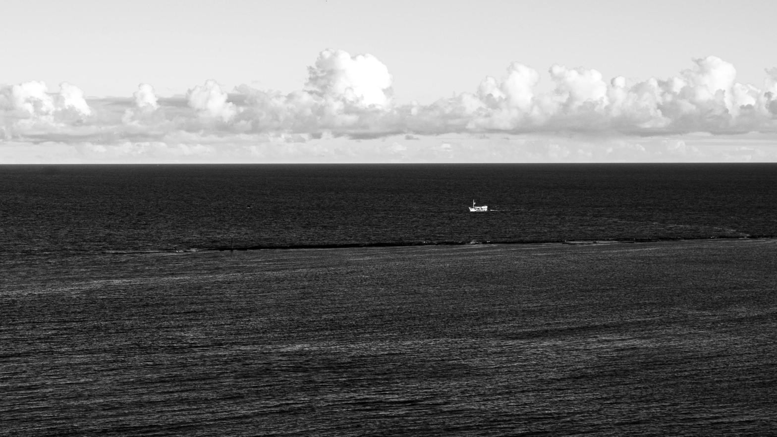 Creative Commons / Alex Dos Santos / Pexels