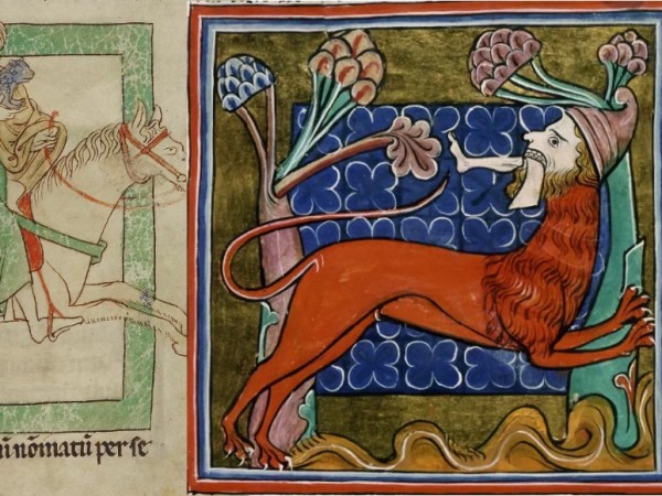Art and Animals